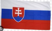 Slowakei Fahne Slowakei  90*150cm mit Ösen Nordrhein-Westfalen - Herten Vorschau