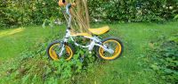 12 Zoll Kinderfahrrad / Laufrad Rheinland-Pfalz - Neuwied Vorschau