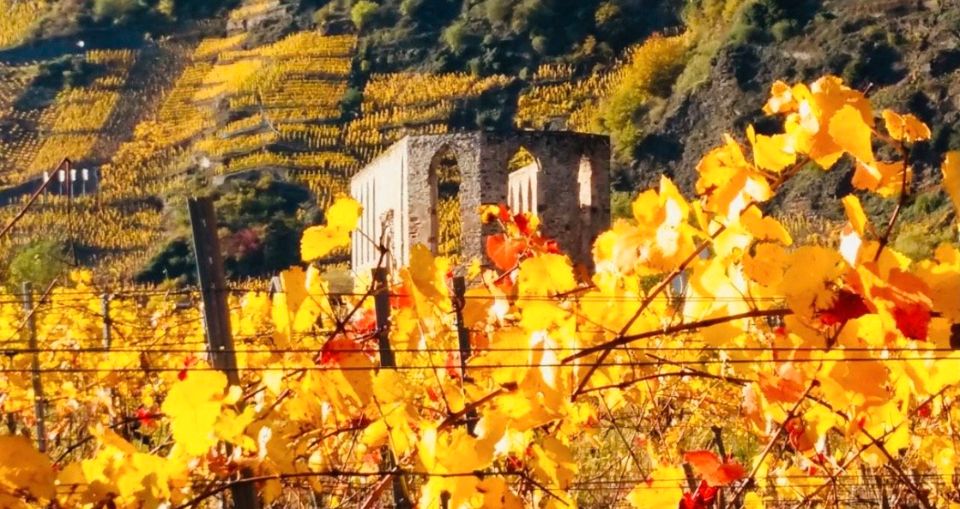 Ferienwohnung am steilsten Weinberg Europas in Bremm