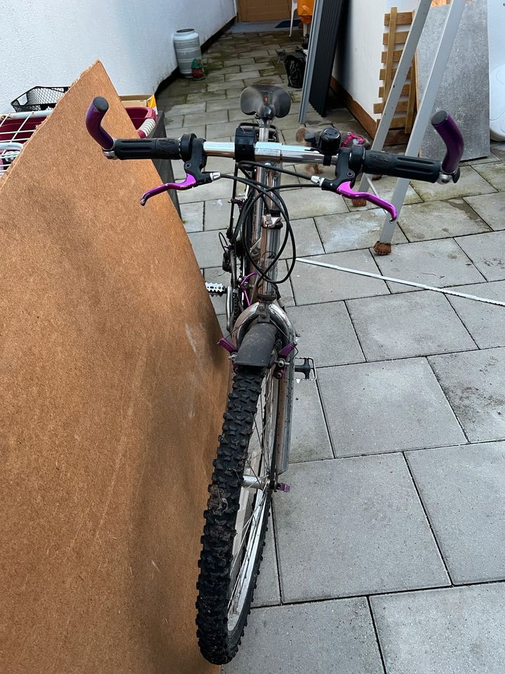 Damen Fahrrad in Duderstadt