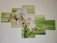 5-teilig Leinwandbild mit weißen Orchideen 160×100 cm. Bayern - Aschaffenburg Vorschau