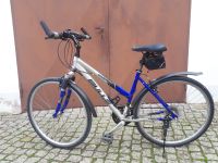 Damen- & Herrenfahrrad Thüringen - Erfurt Vorschau