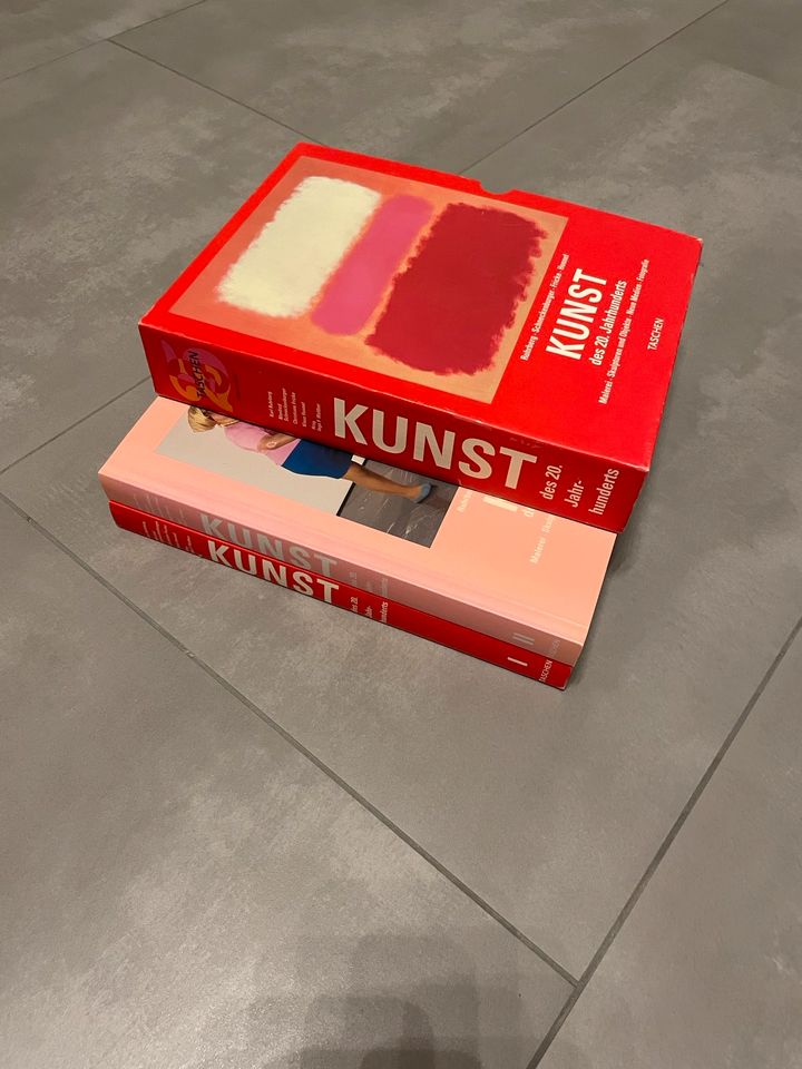 Bücher /Kunst des 20. Jahrhunderts ( 2 Bücher ) in Öpfingen