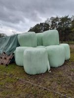 Bio Anwelksilage Silage 1,25m Rolle Mecklenburg-Vorpommern - Besitz Vorschau