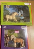 Schleich Set Horse Pferde Club 41431 + 42419 gratis Baden-Württemberg - Renchen Vorschau