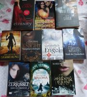 10 Bücher Paket Liebesromane Fantasy Cabot Singh u.a Chemnitz - Ebersdorf Vorschau