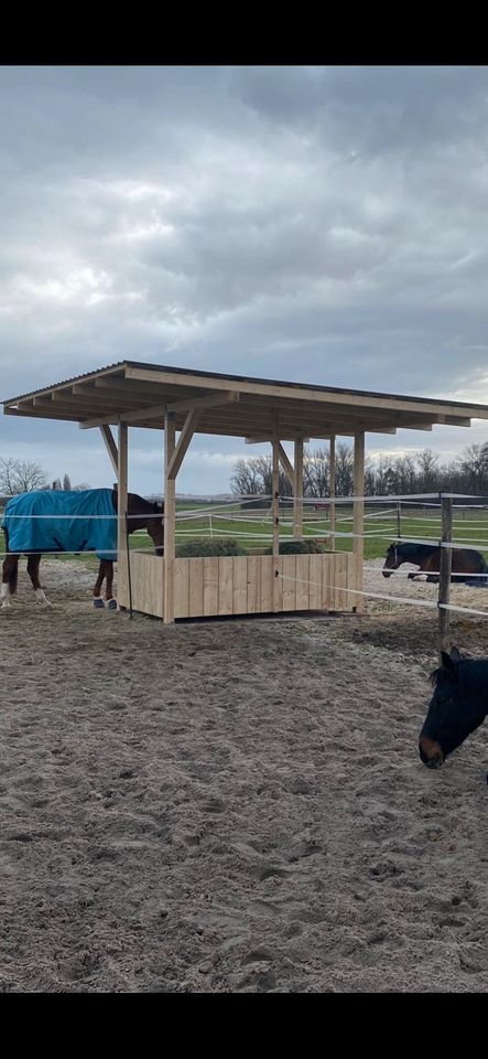 Heuraufe Quaderballenraufe Holzheuraufe 5x5m Dach für Pferde in Gedern