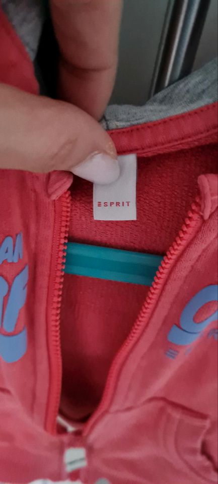 Sweatshirt von Esprit in Kaarst