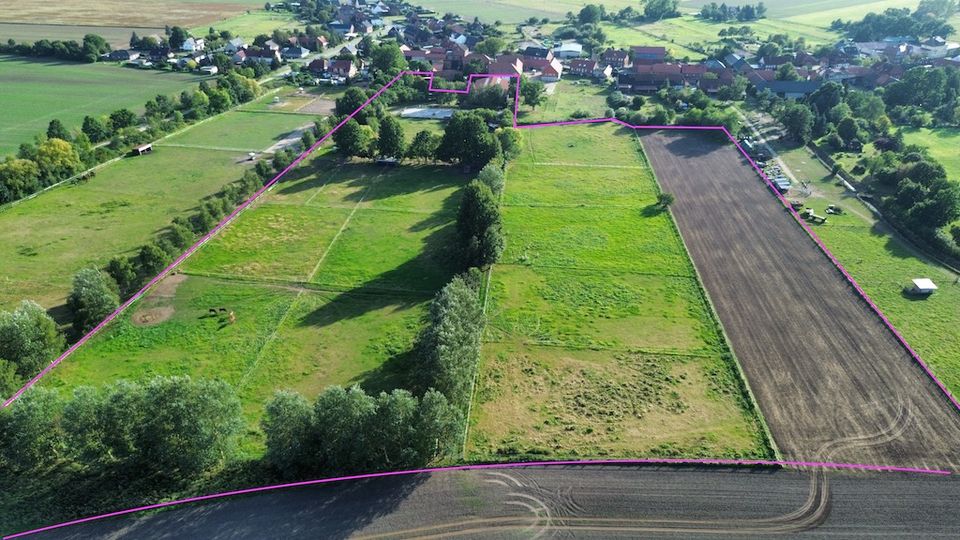 Reitanlage in Sachsen-Anhalt mit 6 ha Weidefläche zu verkaufen! in Haldensleben