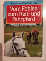 Vom Fohlen zum Reit- u. Fahrpferd (Engelmann/Buurman-Paul Nordrhein-Westfalen - Datteln Vorschau