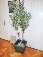 Olivenbaum 180 cm hoch mit Früchten naturgetreue künstl. Pflanze Baden-Württemberg - Gengenbach Vorschau
