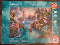 1000 Teile Puzzle Disney Peter Pan Nordrhein-Westfalen - Arnsberg Vorschau