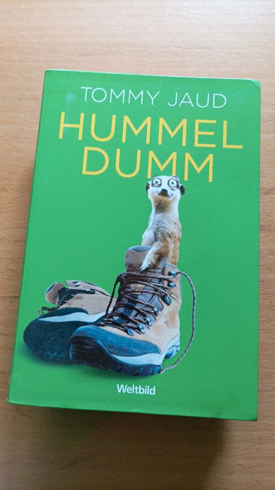 Buch " Hummel Dumm" in Bad Lausick