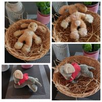 Kuscheltiere Steiff Elefant  Hase und Ball Nordrhein-Westfalen - Dormagen Vorschau