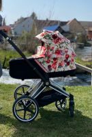 Cybex Spring Blossom Light Bayern - Mellrichstadt Vorschau