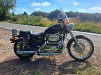 Harley Davidson Sportster 1200 -Originalzustand- Bochum - Bochum-Wattenscheid Vorschau