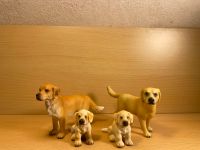 Schleich Golden Retriever Familie Schleswig-Holstein - Kappeln Vorschau