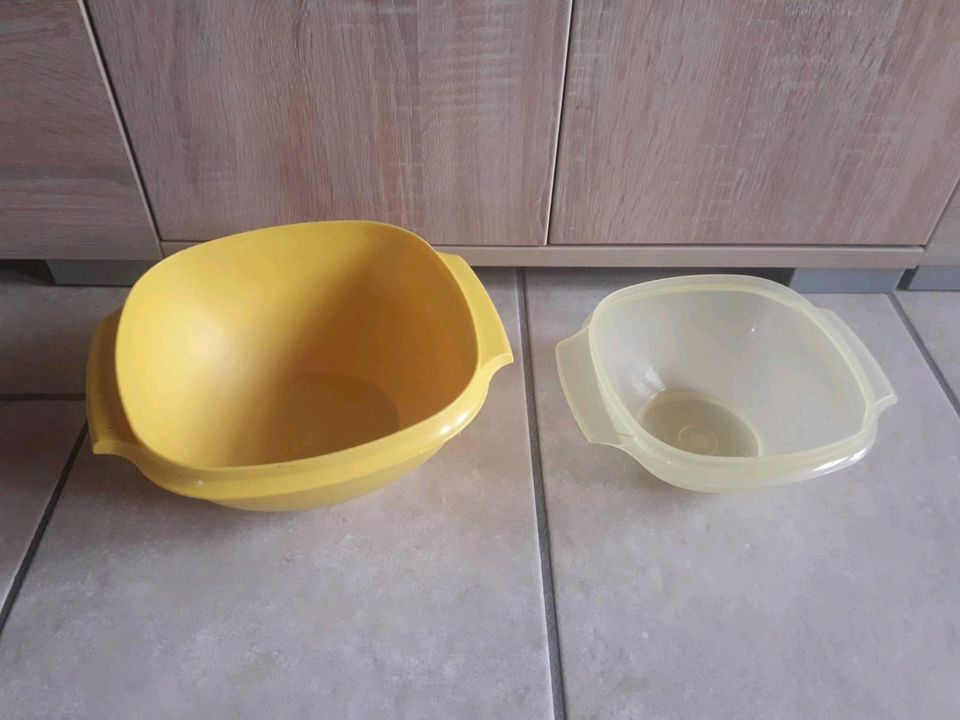 Tupperware Tupper Sonnenschüssel Schüssel Dose in Emsbüren