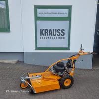 AS-Motor Profi Allmäher 65 4T B&S Rheinland-Pfalz - Enkenbach-Alsenborn Vorschau