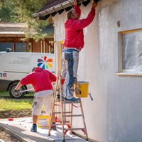 Malerarbeiten: Fassadengestaltung und -sanierung vom Experten! Mecklenburg-Vorpommern - Bergen auf Rügen Vorschau