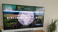 Toshiba Qled 65Z mit Garantie Bayern - Schongau Vorschau