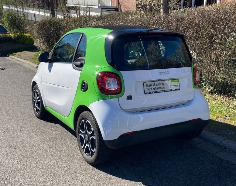 Smart smart fortwo coupe EQ passion in Michelstadt