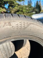 Bridgestone Turanza 255/45 R19 100V Pannenschutz Sommerreifen Niedersachsen - Borstel b Sulingen Vorschau