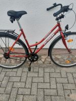 Fahrrad 28 Zoll Hansestadt Demmin - Völschow Vorschau