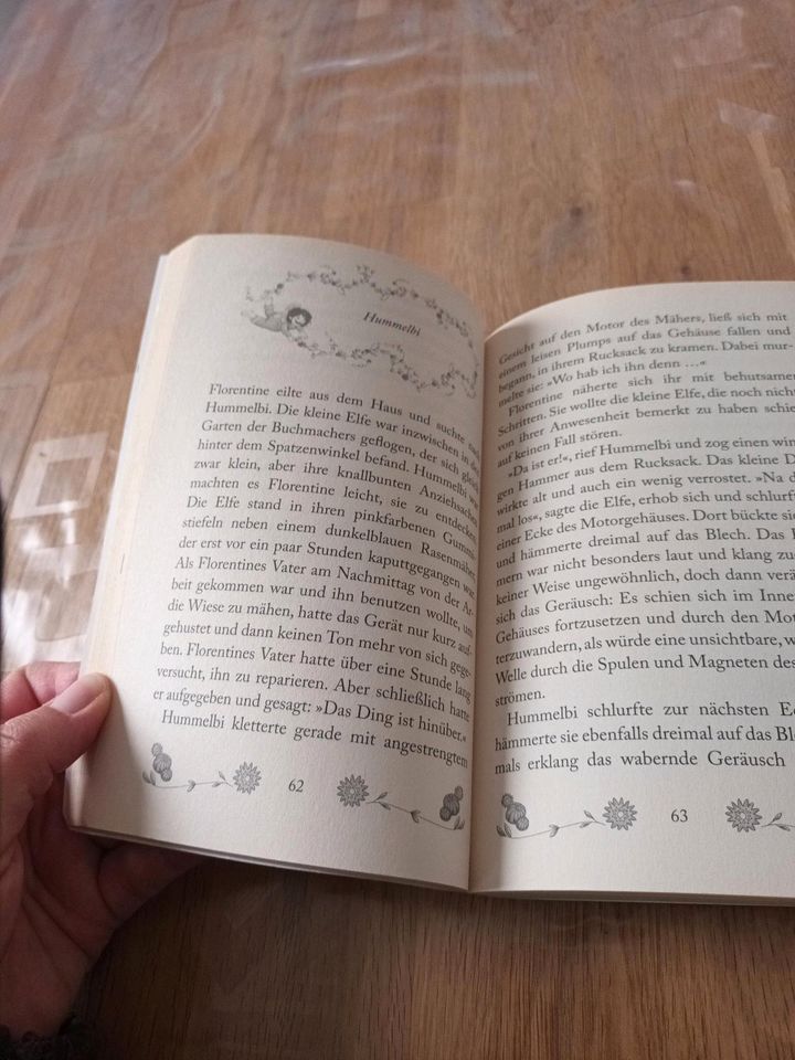 Buch: Wie weckt man eine Elfe, 8+ in Waldshut-Tiengen