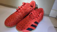 Adidas Predator Hallenschuhe Größe 42 2/3 Bayern - Itzgrund Vorschau