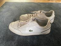 Schuhe Lacoste Gr. 44 Sachsen - Bad Muskau Vorschau