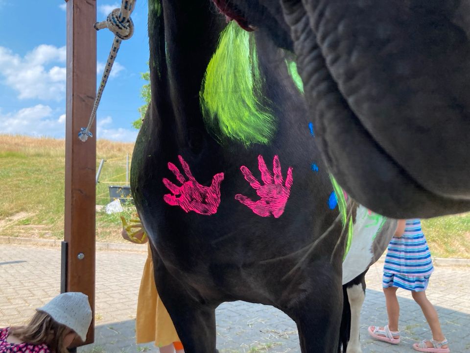 Ponyreiten auf dem Lebenshof Vergissmeinnicht in Reichenbach (Vogtland)