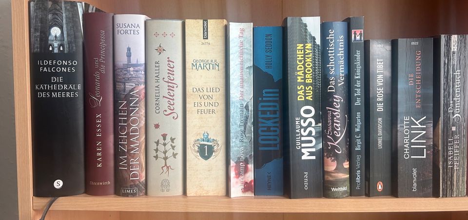 Bücher Konvolut Krimi - Spannung - Historische Romane in Bad Waldsee