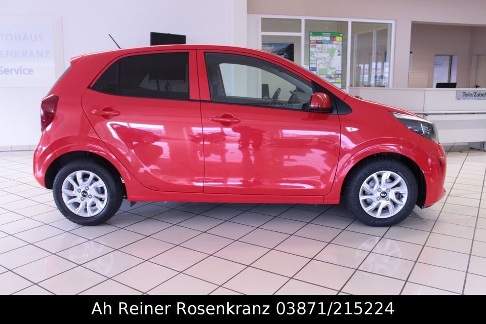 Kia Picanto Dream Team 1. Hand Allwetter Sitzheiz. in Parchim