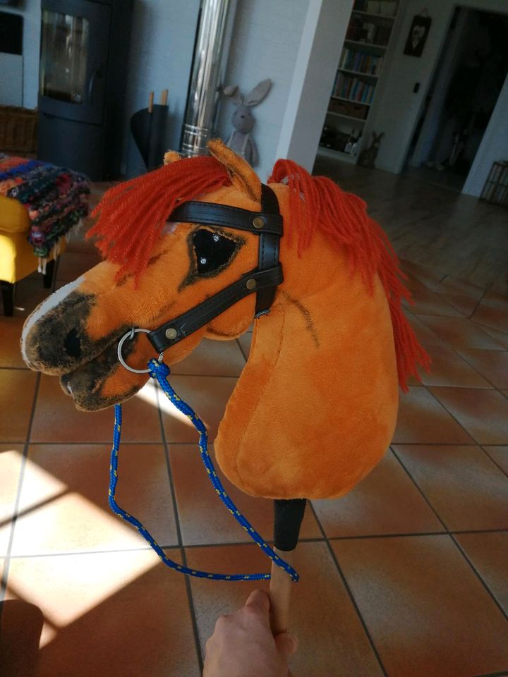 Hobby Horse Stockpferd mit Zubehör in Sankelmark