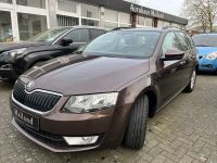 Skoda Octavia Combi 1,6 TDI Ambition Green Tec Hessen - Marburg Vorschau