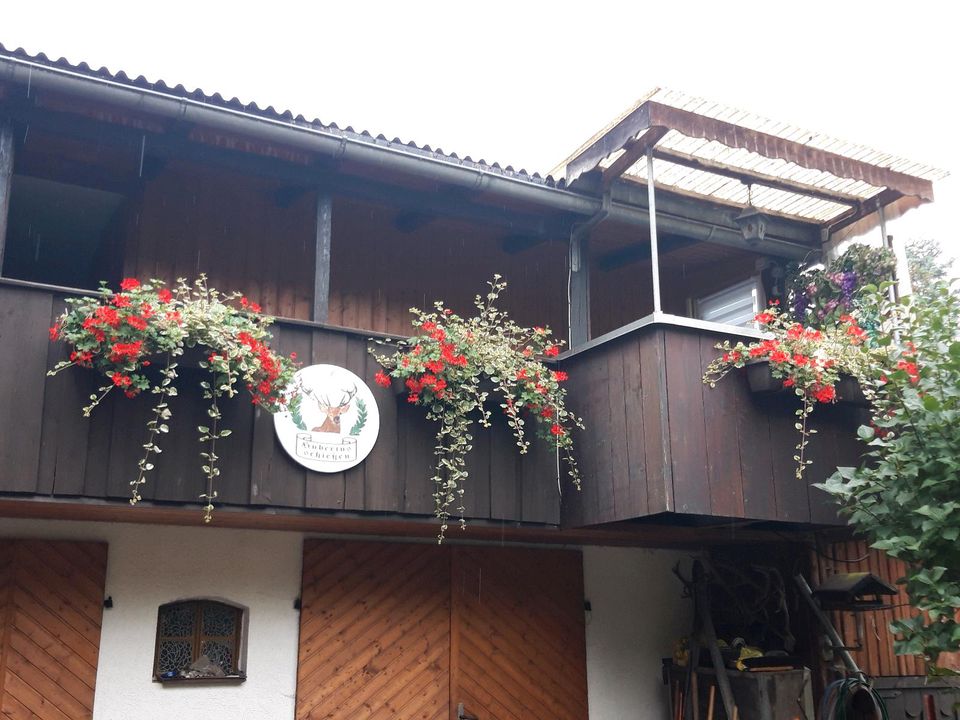 Ferienwohnung Haus Niedersachsen in Thale-Altenbrak