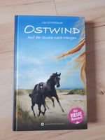 Buch Hardcover – Ostwind, Auf der Suche nach Morgen, neuwertig Sachsen - Drebach Vorschau