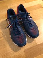 ASICS Hallenschuhe Größe 42,5 Leipzig - Leipzig, Zentrum-Süd Vorschau