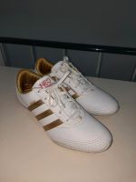 Adidas Schuhe Gold Gr. 42 sehr guter Zustand Nordrhein-Westfalen - Krefeld Vorschau