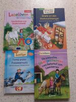 Bücher Kinder Erstlesebücher Antolin Rheinland-Pfalz - Lahnstein Vorschau