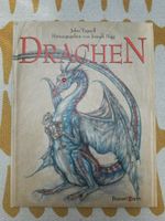 NEU Buch über Drachen Zeichnungen kinderbuch Rheinland-Pfalz - Biebelnheim Vorschau