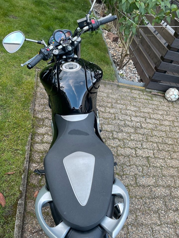 Suzuki Gladius 650 in Karlsruhe