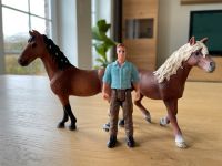 Schleich Set zu verkaufen. Schleswig-Holstein - Erfde Vorschau