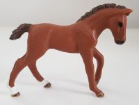 Schleich Horse Club: Trakehner-Fohlen, braun, wie neu Bayern - Ottensoos Vorschau