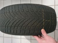 1 Winterreifen 205/55R16 Frostrack hp Minerva. Baden-Württemberg - Rottenburg am Neckar Vorschau