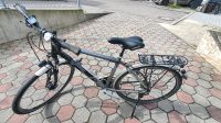 Trekkingrad Diamant Ubari Sport 28" Baden-Württemberg - Niederstotzingen Vorschau