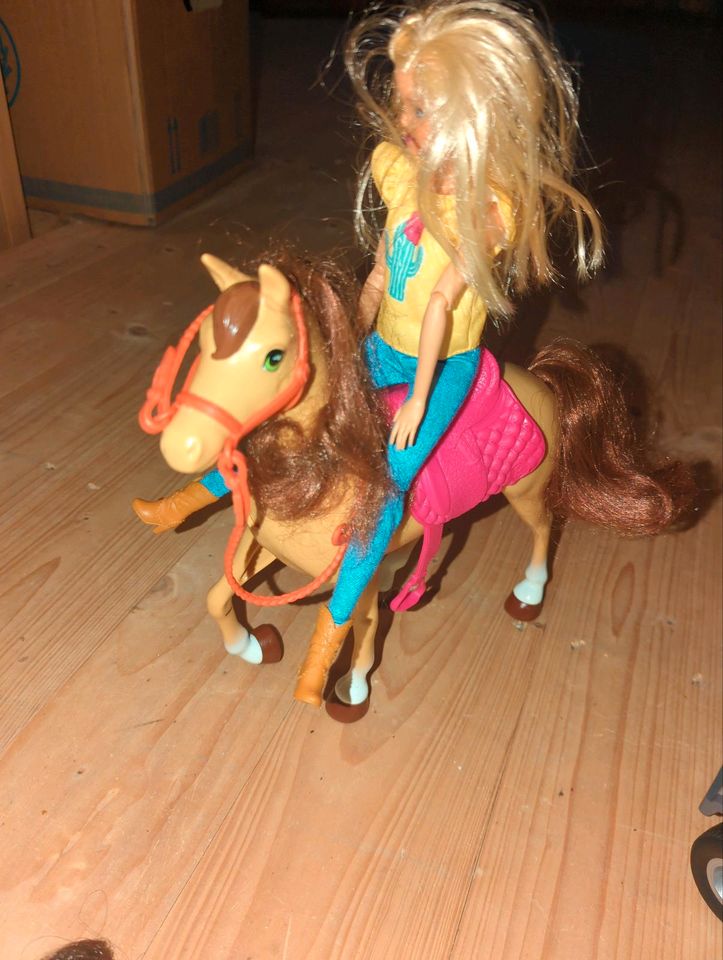 Barbie Pferd und Puppen in Gehrden