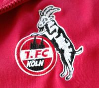 Original Zip- Sweatshirt 1.FC Köln rot Reebook Trainingspullover Nordrhein-Westfalen - Meckenheim Vorschau