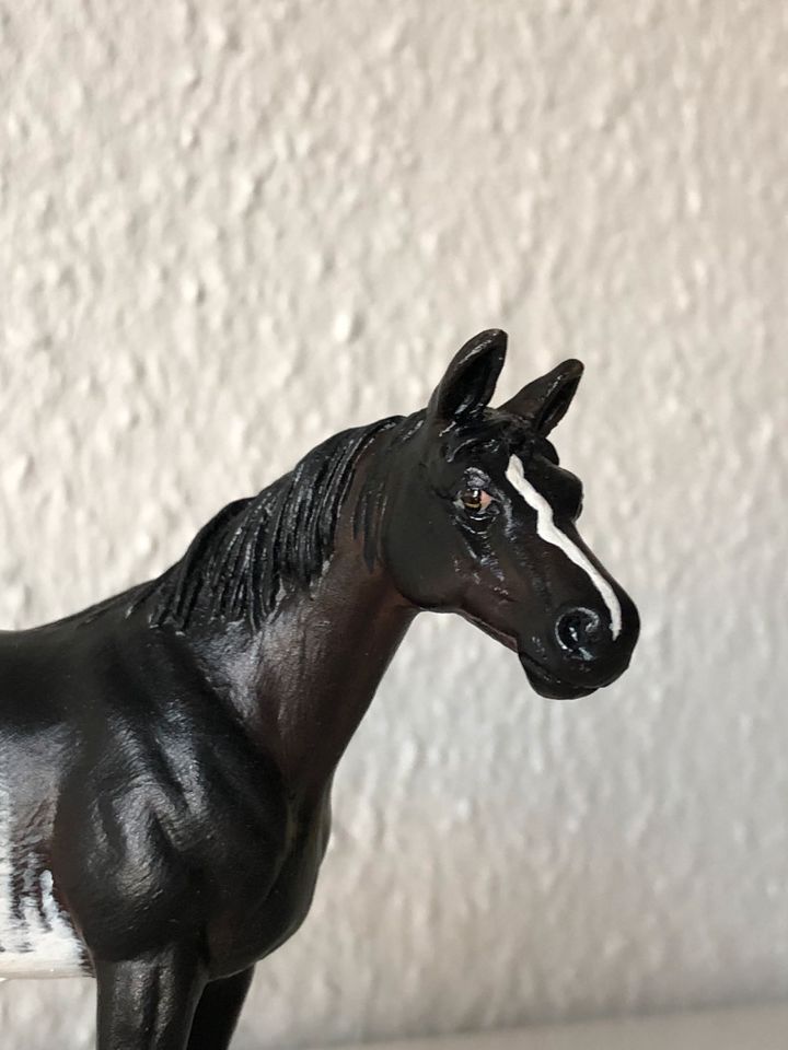 Schleich Araber Repaint in Bautzen